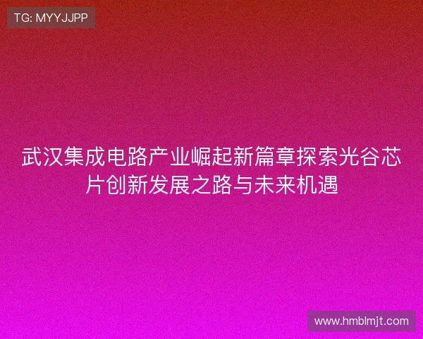 武汉集成电路产业崛起新篇章探索光谷芯片创新发展之路与未来机遇